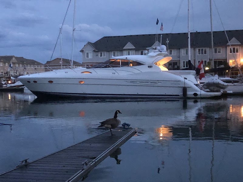 Newport Yacht Club - Stoney Creek cover image
