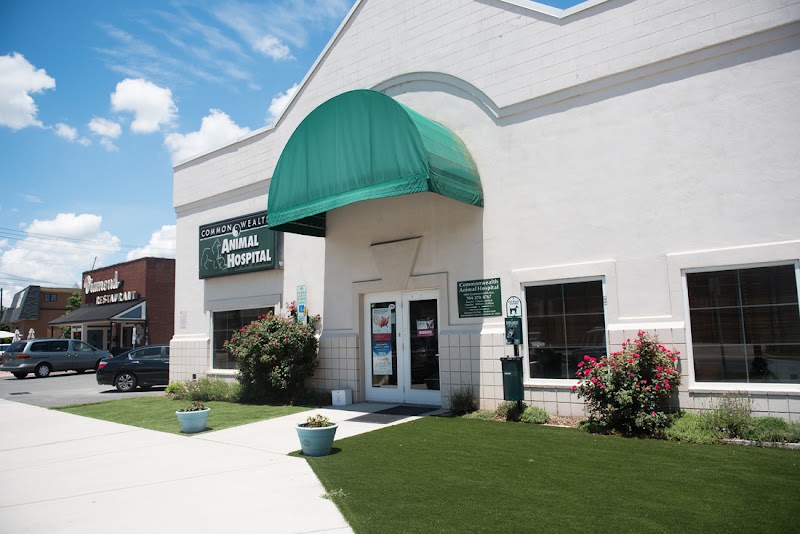 Commonwealth Animal Hospital cover image