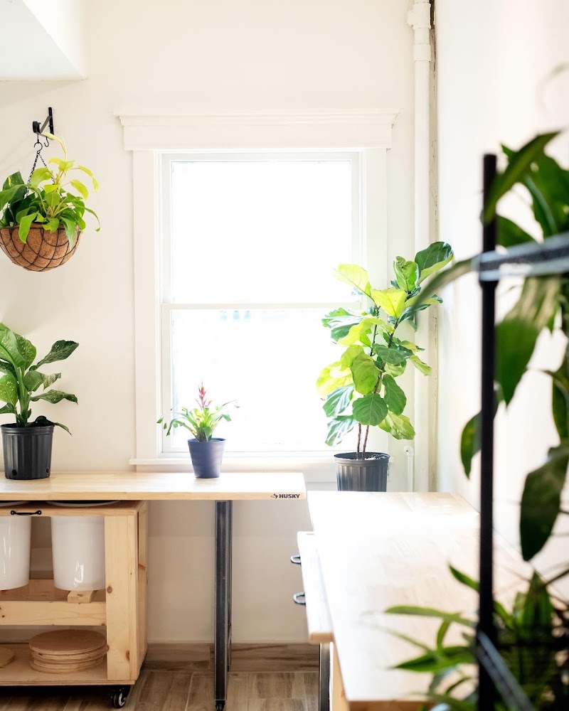 Artsy Beast cover image