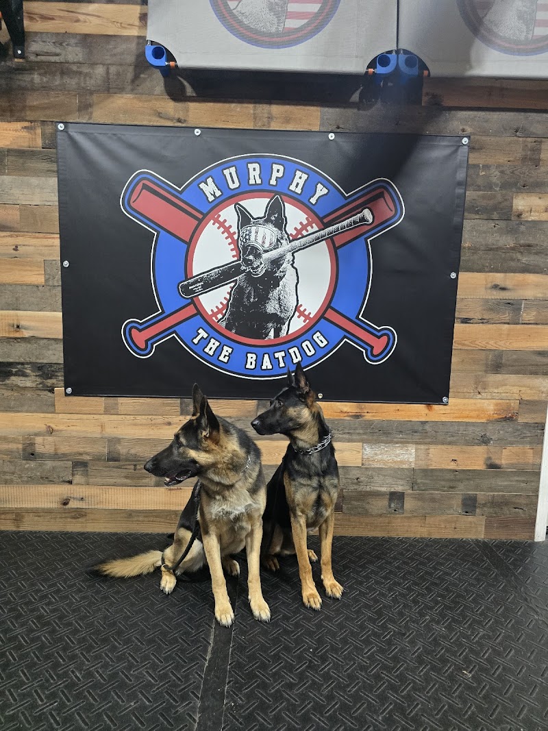 Cornerstone K9 cover image