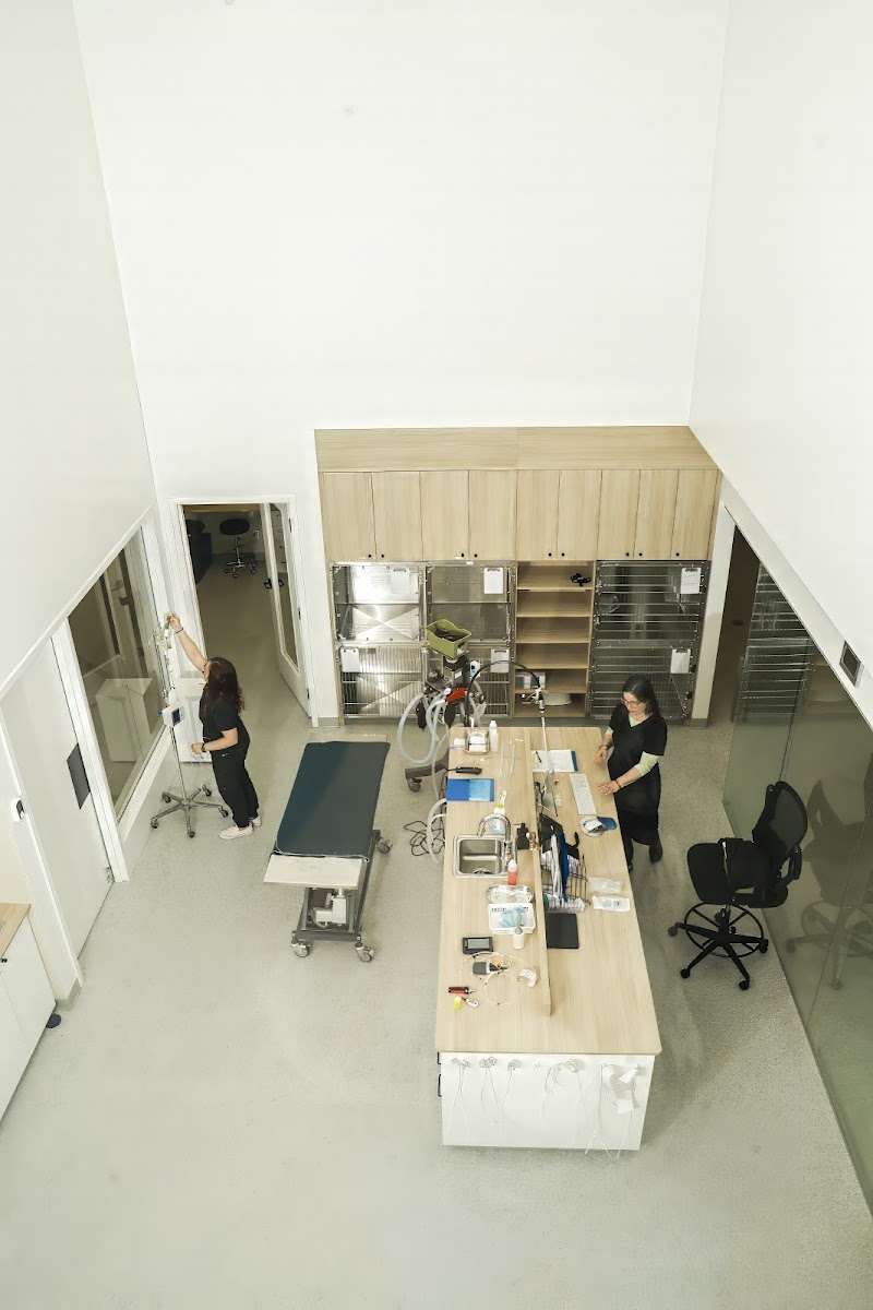 Nova Clinique vétérinaire cover image