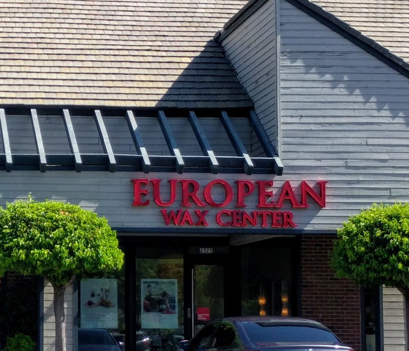 European Wax Center cover image