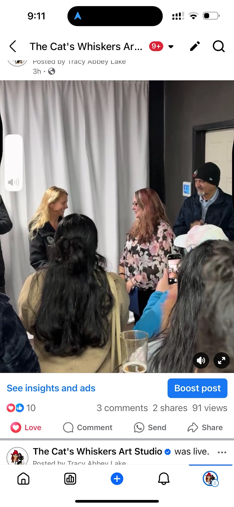 The Cat's Whiskers Art Studio - Manteca cover image