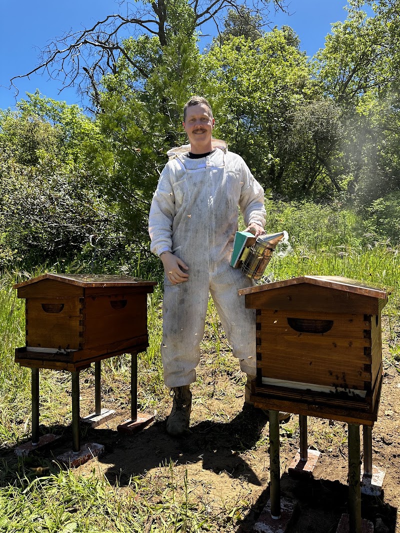 San Diego Bee Sanctuary cover image