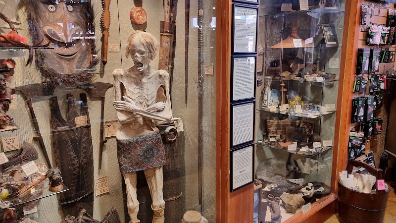 Ye Olde Curiosity Shop cover image