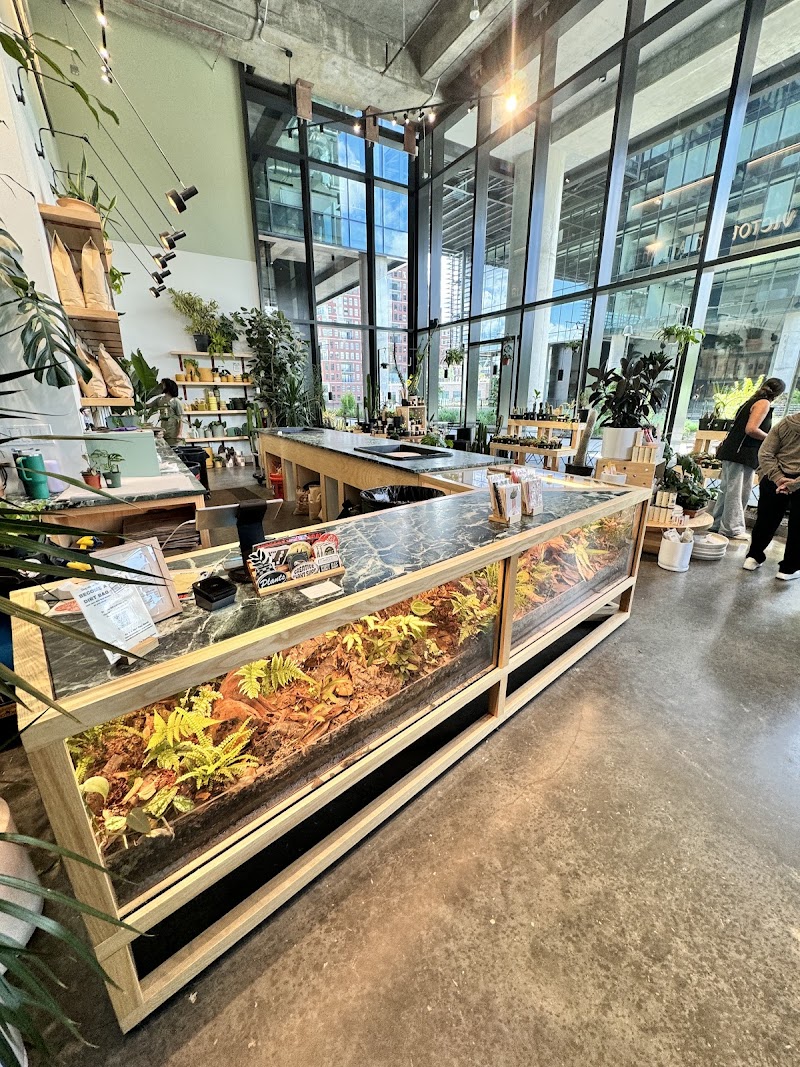 The Victorian Atlanta - Old Fourth Ward cover image