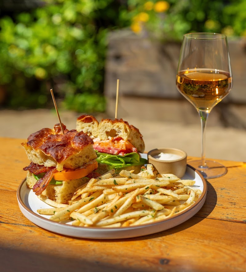 Alder & Sage cover image