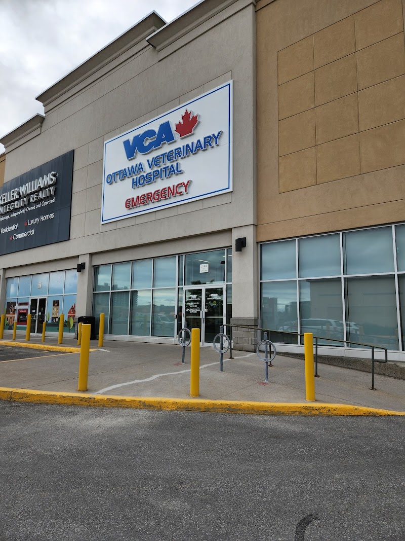 VCA Canada Ottawa Veterinary Hospital cover image