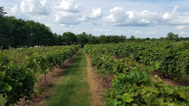 Somerset Ridge Vineyard & Winery cover image