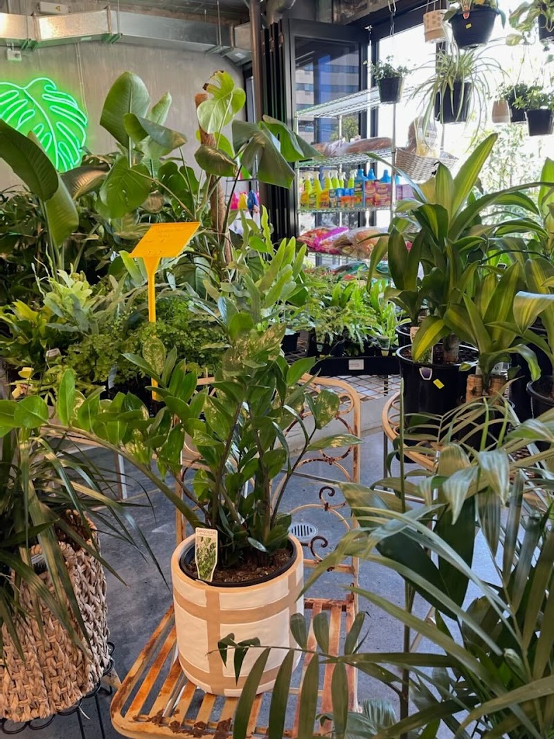 All Things Leafy cover image