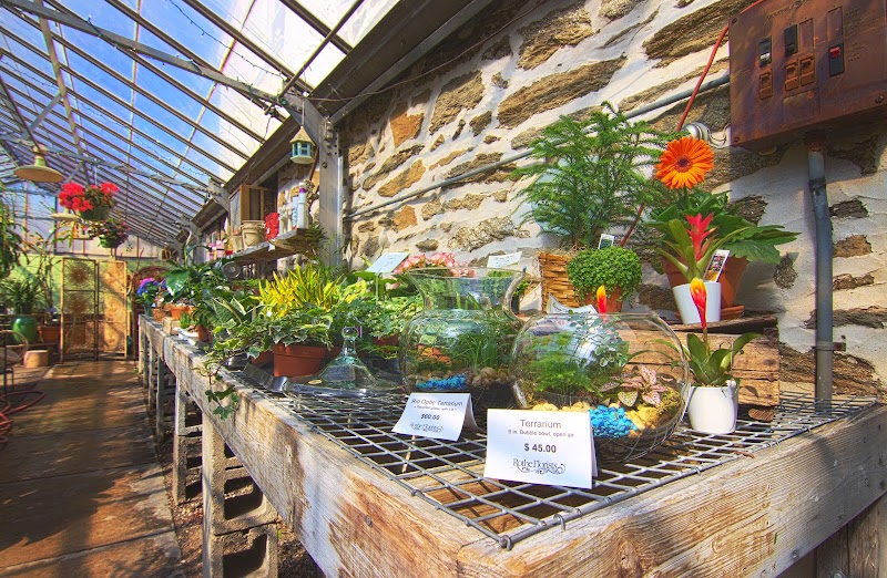 Rothe Florists & Flower Delivery cover image