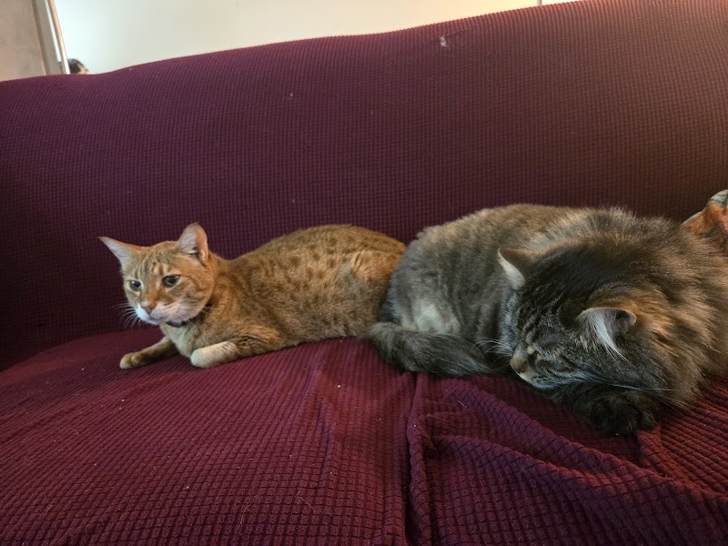 Priority Pet Boarding Services Inc. cover image