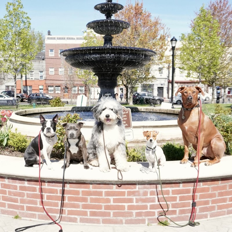 Riverview Bark cover image