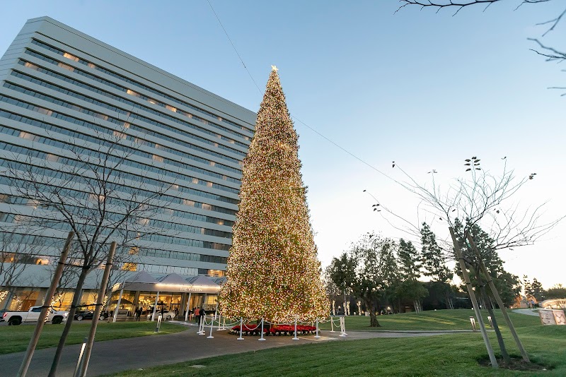 Los Angeles Event Photos cover image