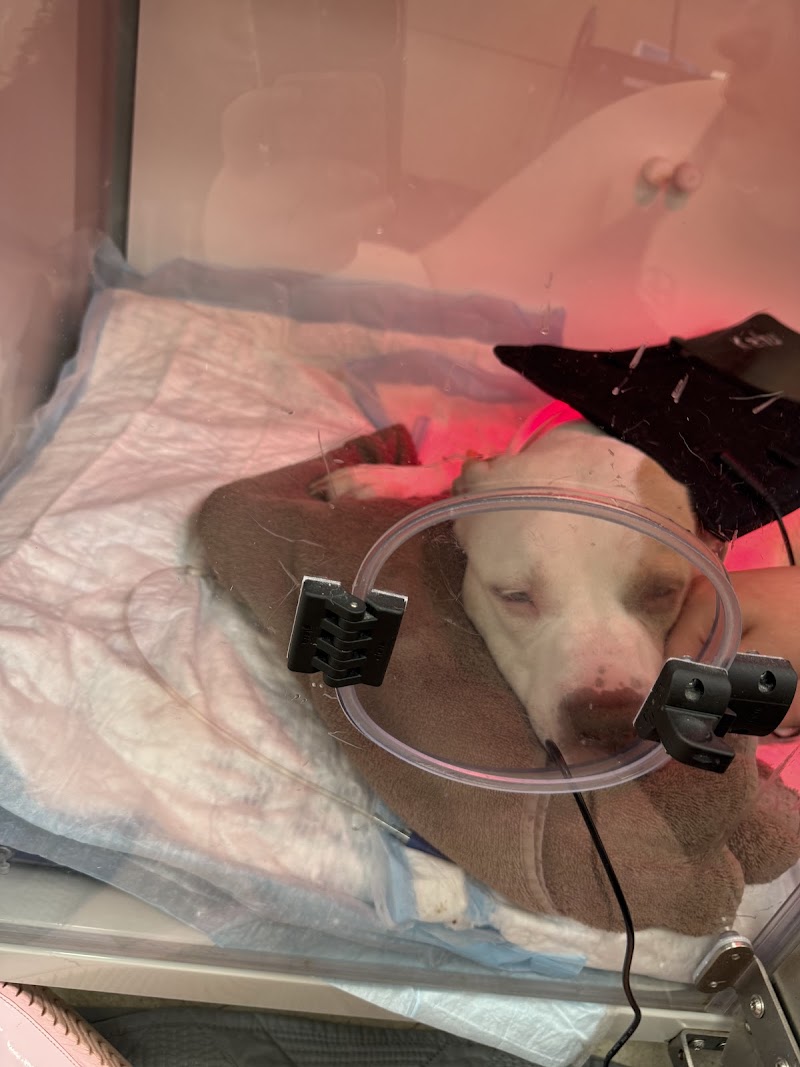 WVRC - Waukesha cover image