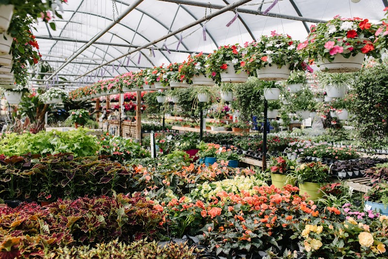 Hoen's Garden Center & Landscaping cover image