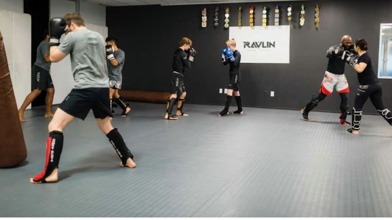 Ravlin Martial Arts cover image