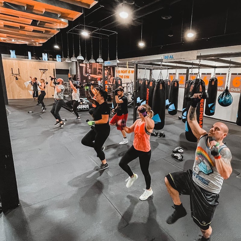 Legends Boxing - Lee Vista cover image