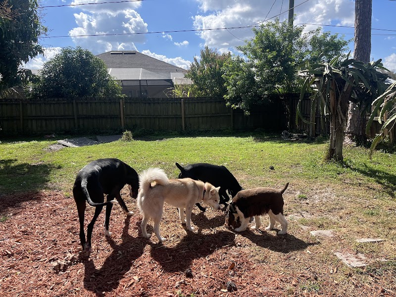 Waggy Resort cover image