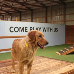 The Pet Ranch cover image