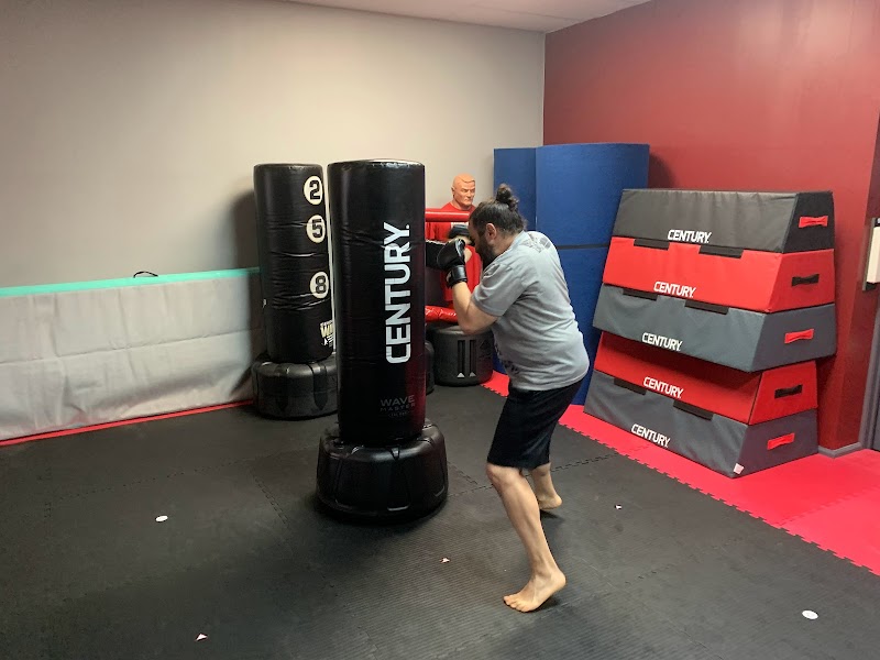 MARTIAL ARTS HERO FACTORY & PHILLY KRAV MAGA cover image