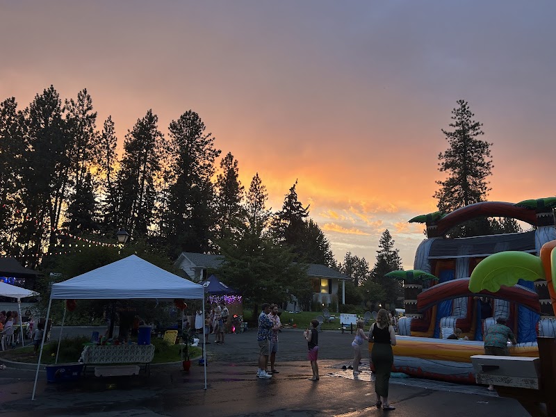 Always Bouncin’ cover image