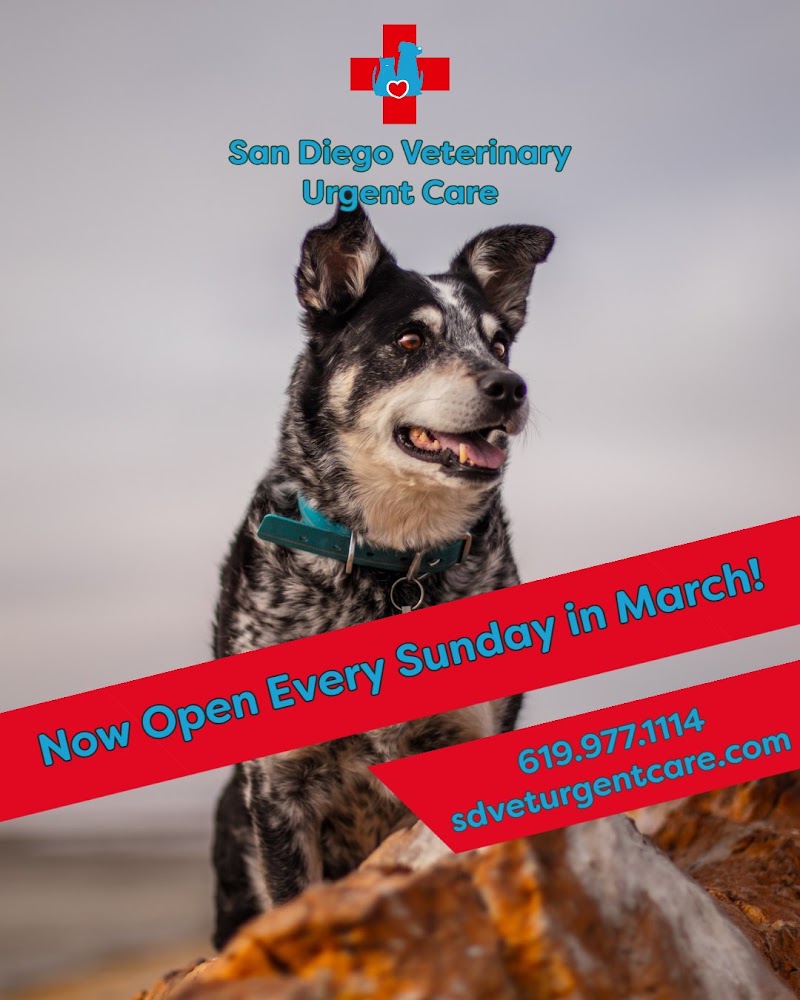 San Diego Veterinary Urgent Care cover image