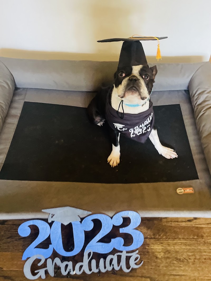 Hakuna Matata Dog Care & Training, LLC cover image