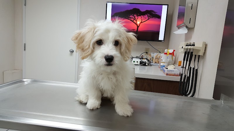 Tropicana Animal Hospital cover image