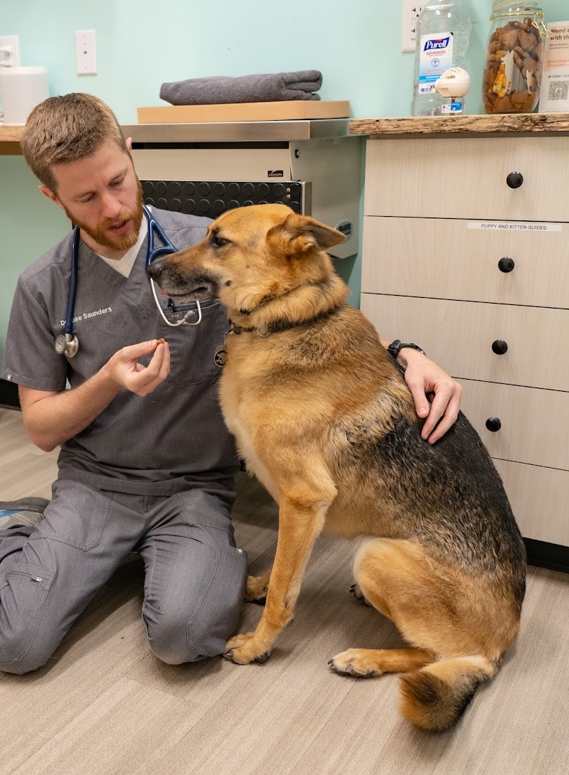 Sploot Veterinary Care - Highlands cover image