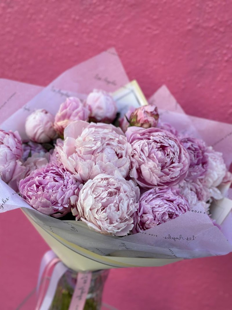 Florist Pink Clover cover image