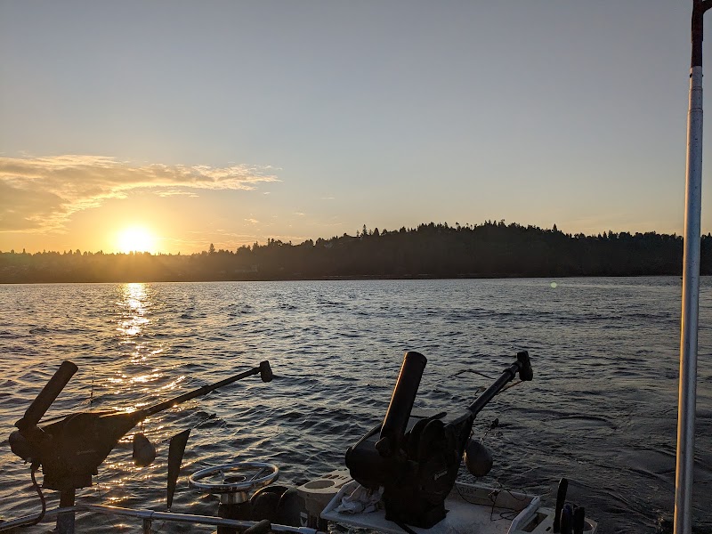 All Star Seattle Fishing Charters cover image