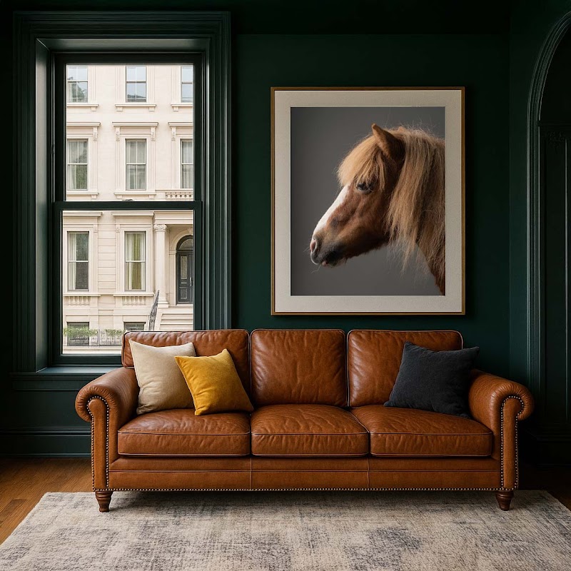 Graham Crichton - The People & Pet Photography Studio cover