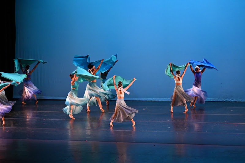 The Carroll School of Dance cover image