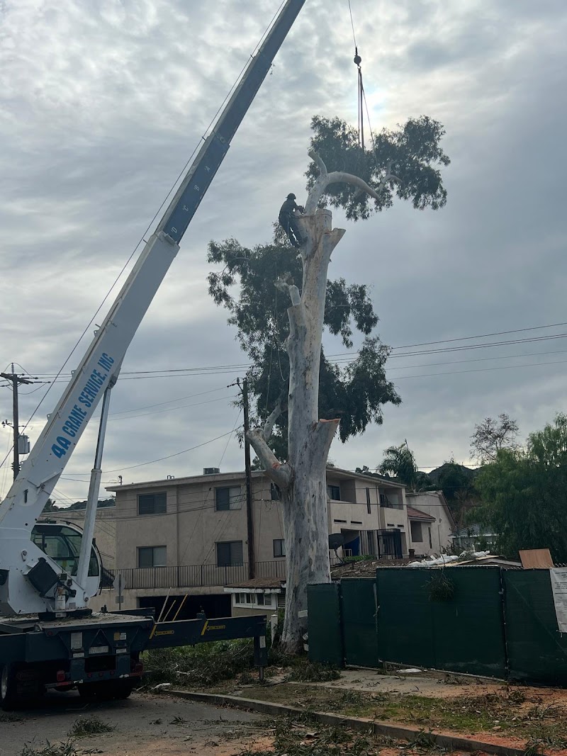 California Green Tree Care Inc. cover image