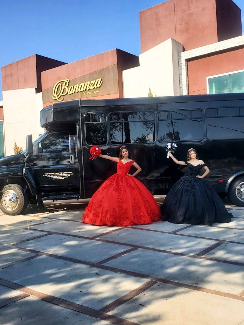 5Star Limo cover image