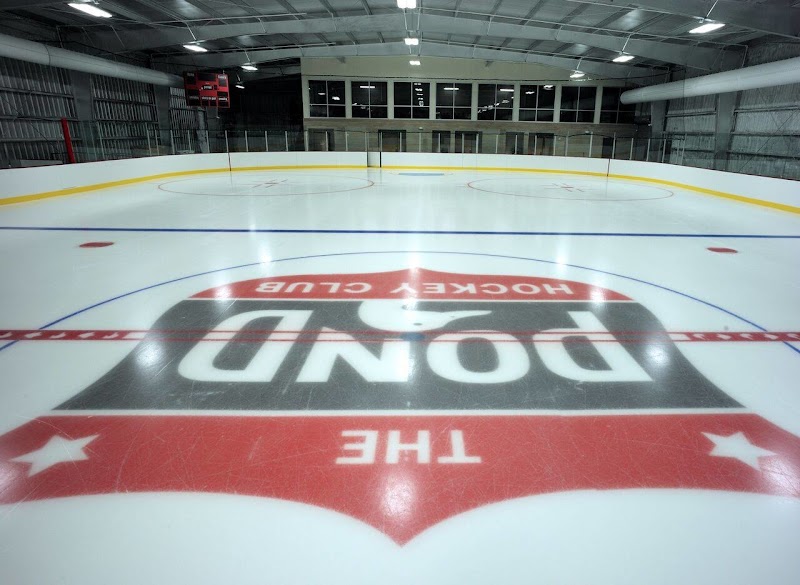 The Pond Hockey Club cover image