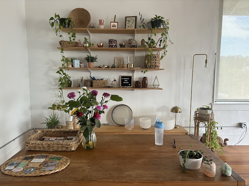 The Collective St. Pete cover image