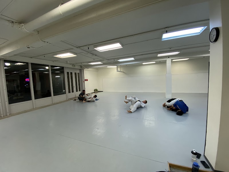 The Jiu-Jitsu League cover image