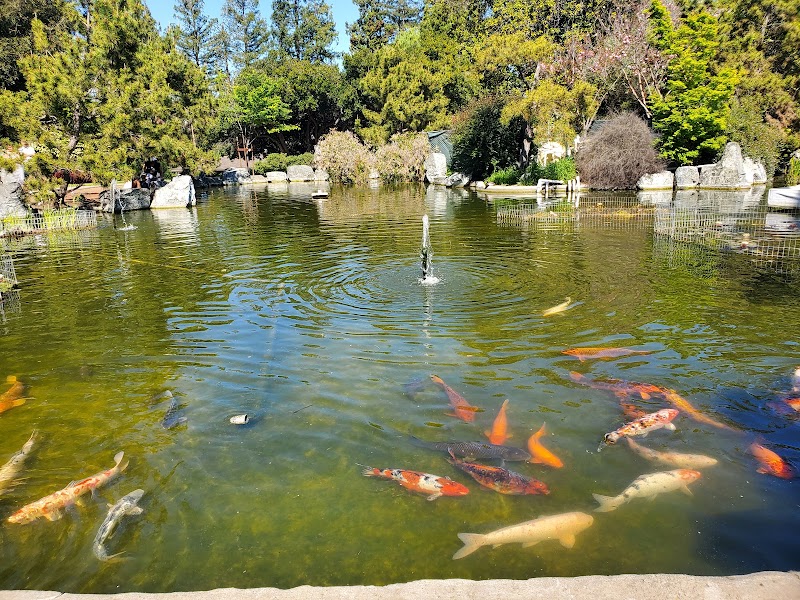 Kelley Park cover image