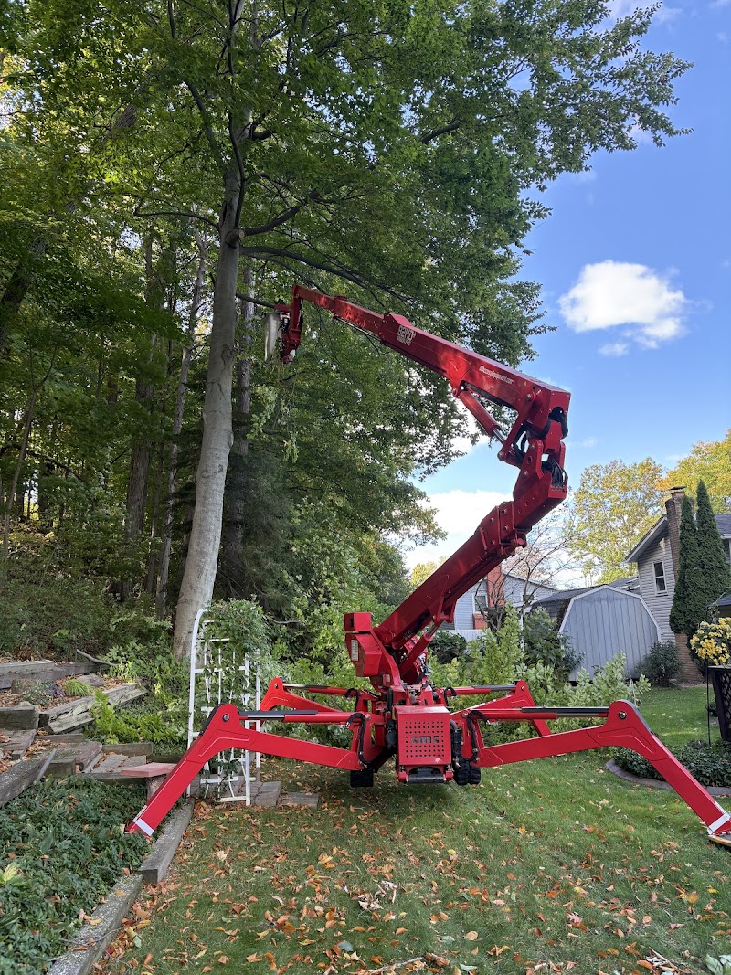 KD Tree Service Rochester NY cover