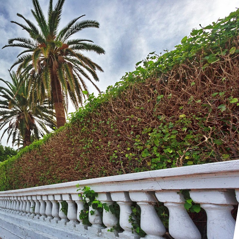 Complete Landscaping cover image