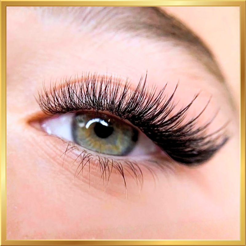 Moon Lashes & Brows - The Best Eyelash Extensions in Santa Clara and San Jose cover image