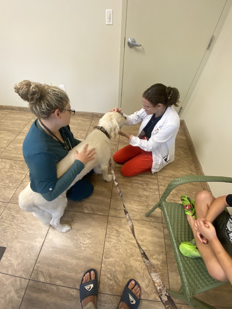 Morningside Animal Hospital cover image