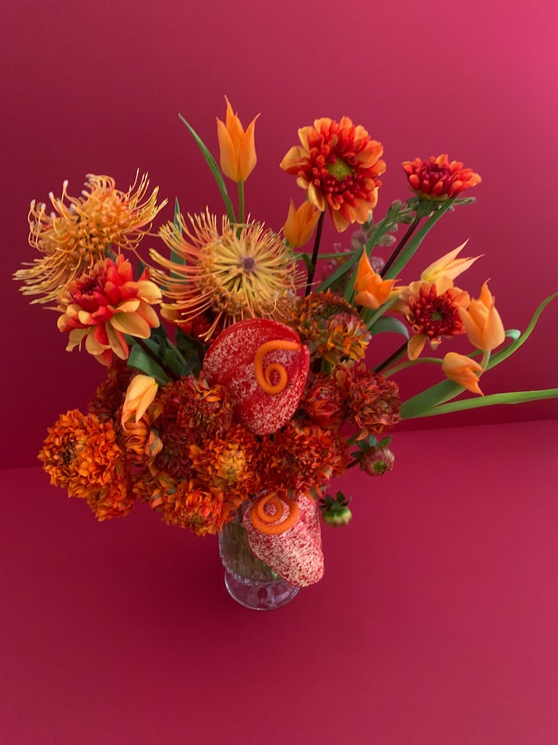 Wild Stems cover image