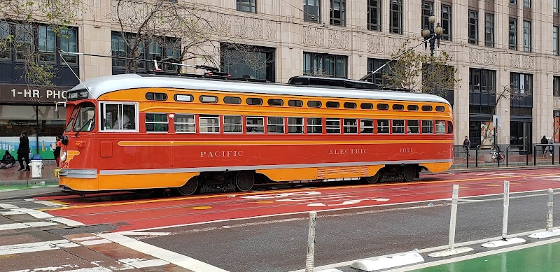 David J MacGregor MD cover image