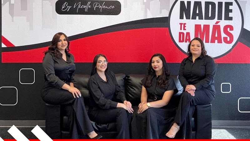 Toro Taxes Springs- Nicolle Polanco
