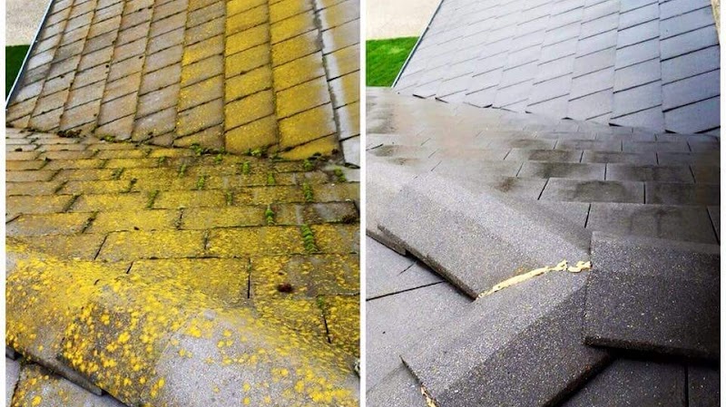 Pinnacle Pressure Washing & Roof Cleaning
