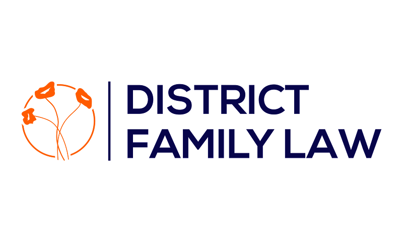 District Family Law cover image