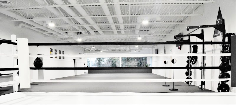 Brave Martial Arts Institute Inc.